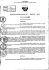 Vista preliminar de documento R.D N° 916-2025