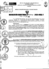 Vista preliminar de documento R.D N° 920-2025