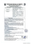 Vista preliminar de documento ET Nº1275