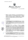 Vista preliminar de documento RD 734-2025-PRODUCE-DS-PA