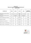 Vista preliminar de documento ANEXO N 01