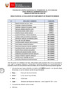 Vista preliminar de documento Proceso N° 009-2025 bajo el D. Leg. N° 276 (resultados de requisitos mínimos)