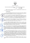 Vista preliminar de documento RER.252