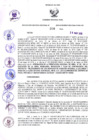 Vista preliminar de documento 538739783520181582