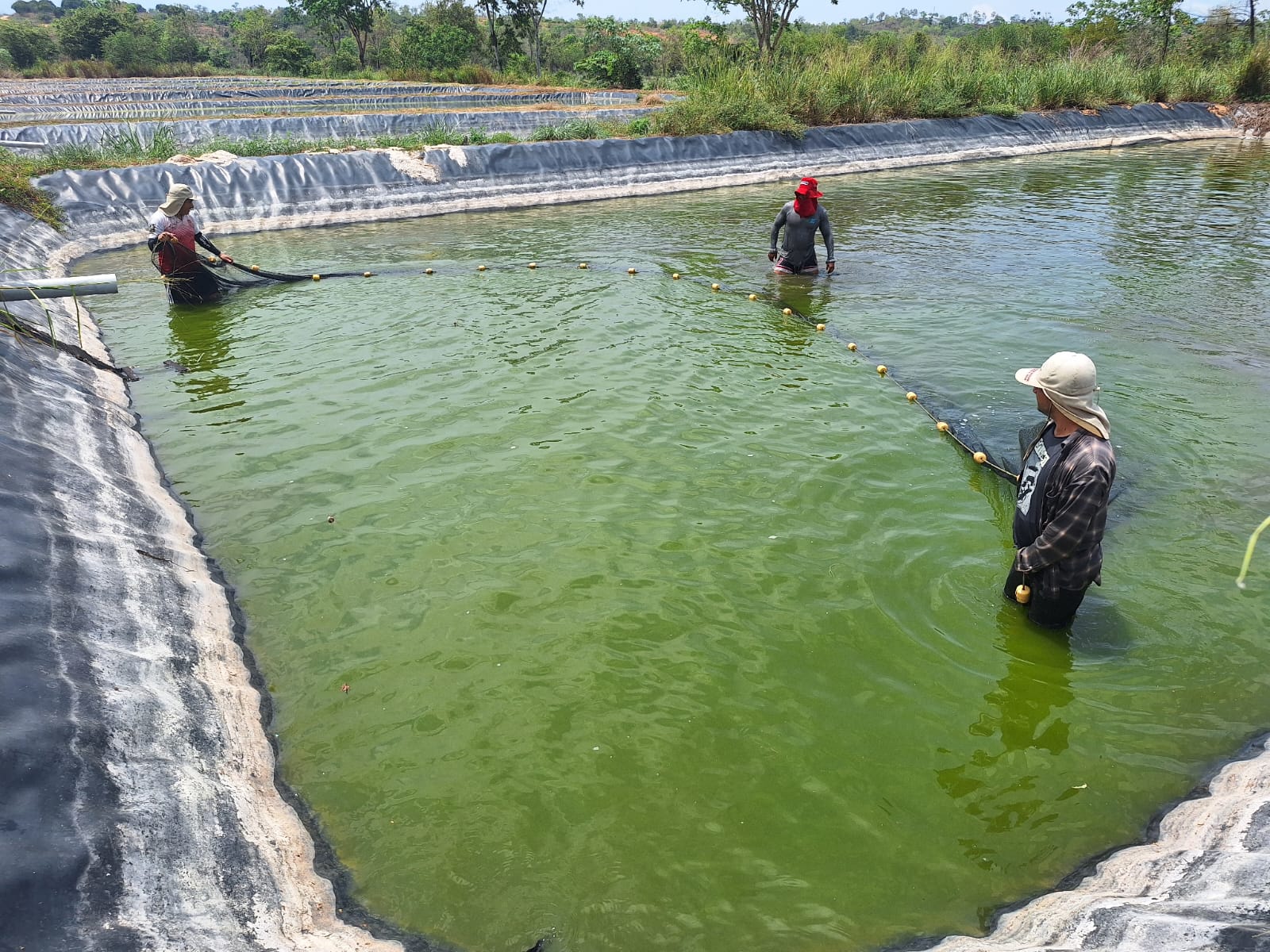 realizó una capacitación para el fortalecimiento acuícola en el distrito de Yantaló, provincia de Moyobamba. Esta iniciativa forma parte del proyecto Especies Nativas Amazónicas.