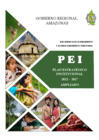 Vista preliminar de documento Plan Estratégico Institucional -PEI