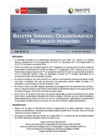 Vista preliminar de documento BS OBP N°17 2025