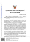 Vista preliminar de documento RDR 1417-2025-DRELM