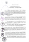 Vista preliminar de documento ORDENANZA N° 520- 2020