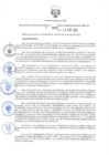 Vista preliminar de documento RER.262