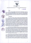 Vista preliminar de documento -2534380581782843172