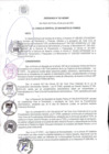 Vista preliminar de documento ORDENANZA N° 521- 2021
