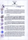 Vista preliminar de documento 4393904314501753108