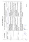 Vista preliminar de documento Pliego de Enmienda