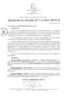 Vista preliminar de documento RA_114-2025-MPV/A