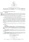 Vista preliminar de documento RA_115-2025-MPV/A
