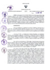 Vista preliminar de documento 1125910203860007379