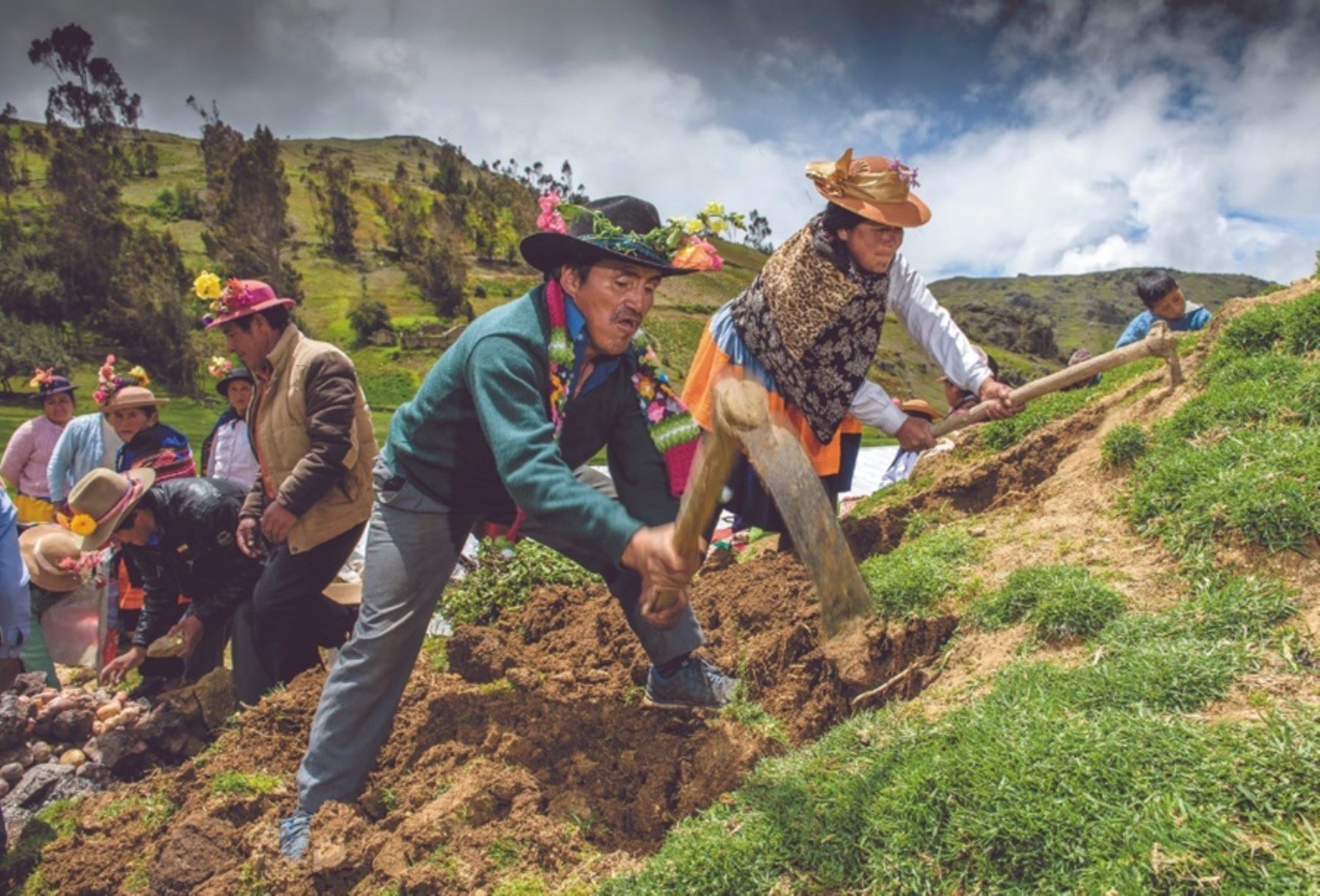 En el “Día del Trabajo”, más de 2 millones de agricultores conquistan el mundo con productos agrícolas de calidad