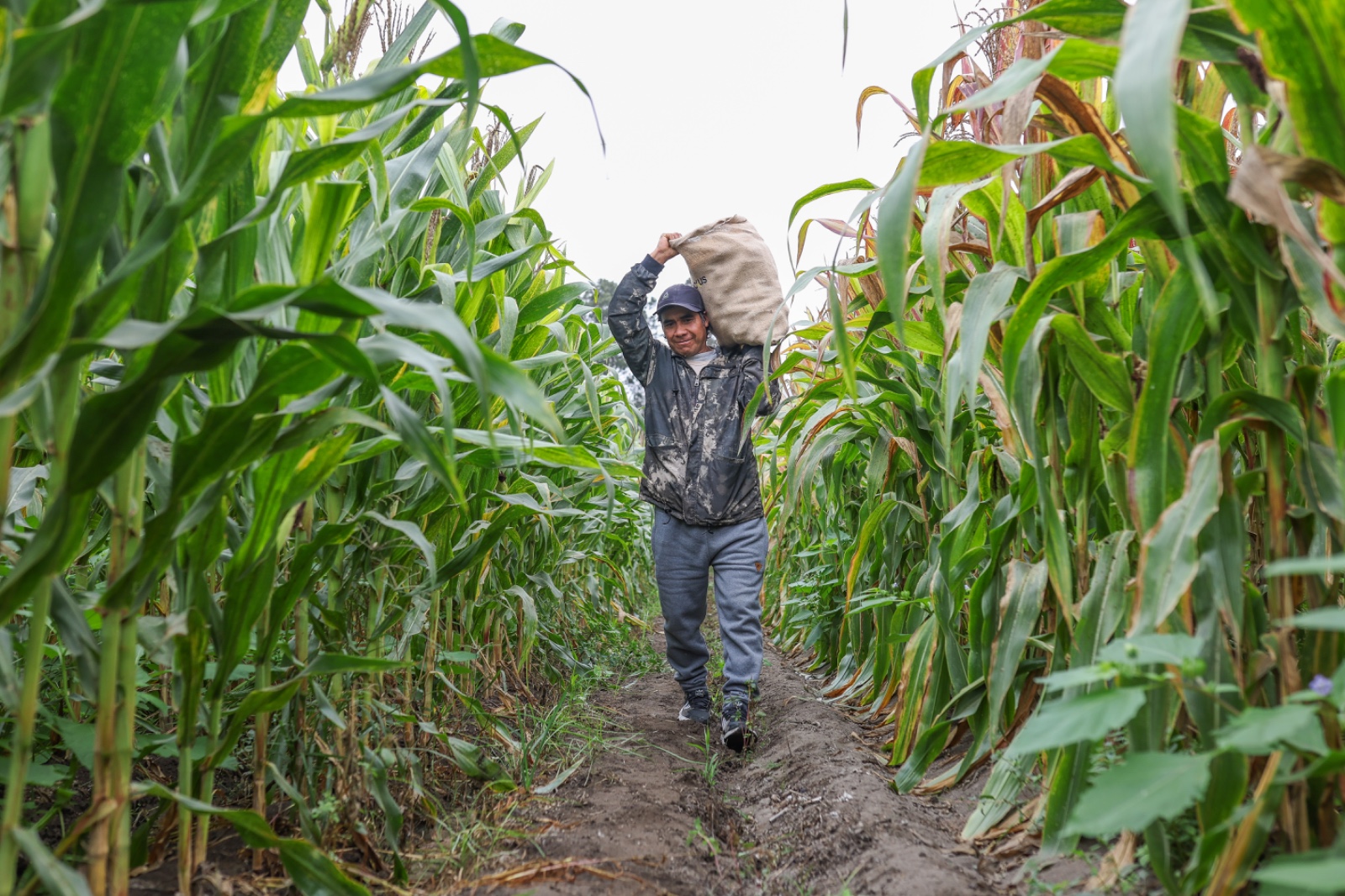 En el “Día del Trabajo”, más de 2 millones de agricultores conquistan el mundo con productos agrícolas de calidad