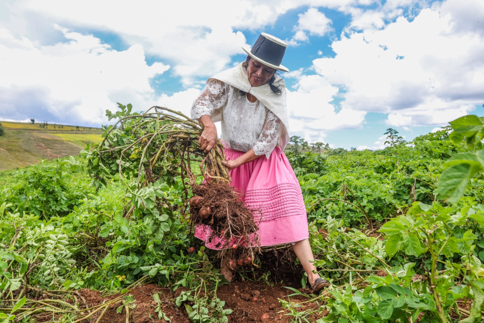 En el “Día del Trabajo”, más de 2 millones de agricultores conquistan el mundo con productos agrícolas de calidad