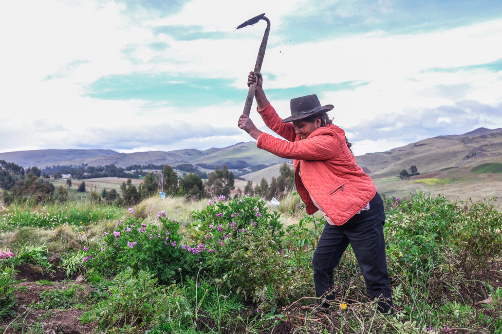 En el “Día del Trabajo”, más de 2 millones de agricultores conquistan el mundo con productos agrícolas de calidad