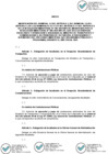 Vista preliminar de documento Anexo de la RM 232-2025-MTC-01