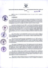 Vista preliminar de documento -1704405239407619482