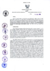 Vista preliminar de documento 260895336386903634
