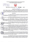 Vista preliminar de documento Resolución Directoral. N° 1068 - 2025 