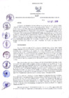 Vista preliminar de documento -3156021915590929884