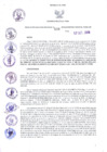 Vista preliminar de documento 4235080937570080447