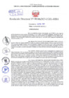 Vista preliminar de documento Resolución Directoral 00185 - 2025