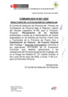 Vista preliminar de documento COMUNICADO N°007-2025_RESULTADOS DE LA EVALUACION CURRICULAR_PUERTO INCA