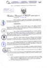 Vista preliminar de documento Resolución Directoral. N° 1115 - 2025 