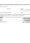 Vista preliminar de documento Anexo06-N°0041-2025