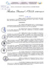 Vista preliminar de documento Resolución Directoral. N° 1113 - 2025 
