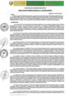 Vista preliminar de documento RGM-246-2025-GM-MPLC