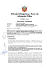 Vista preliminar de documento Resolución N° 010303662020