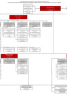 Vista preliminar de documento Organigrama-nominal-01052025