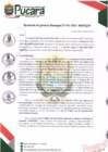 Vista preliminar de documento RESOLUCIÓN DE GERENCIA MUNICIPAL N°31-2025-MDP/GM