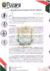 Vista preliminar de documento RESOLUCIÓN DE GERENCIA MUNICIPAL N°40-2025-MDP/GM