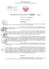 Vista preliminar de documento Resolución Directoral. N° 0875 - 2025