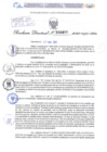 Vista preliminar de documento Resolución Directoral. N° 0877 - 2025 