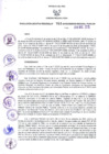 Vista preliminar de documento -845573557265424215
