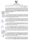 Vista preliminar de documento RDR N°310-2025-30-04-2025