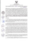 Vista preliminar de documento RDR N°308-2025-29-04-2025