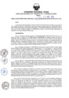 Vista preliminar de documento RDR N°309-2025-30-04-2025