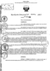 Vista preliminar de documento R.D N° 925-2025