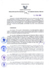 Vista preliminar de documento 1746939177250972601