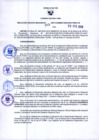 Vista preliminar de documento 237096411565297081